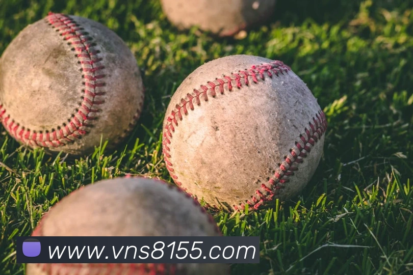 威尼斯娱乐网站平台生态图