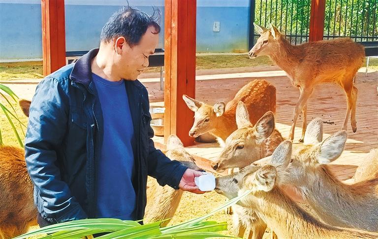 质量发展产业调研】林下生金不朽情缘平台登录网页【高(图3) 质量发展产业调研】林下生金不朽情缘平台登录网页【高(图3)